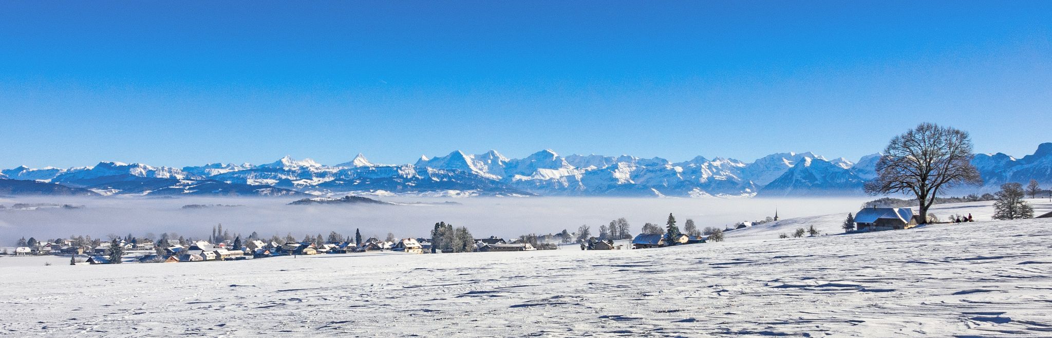 View to the Bernese Alps, Switzerland