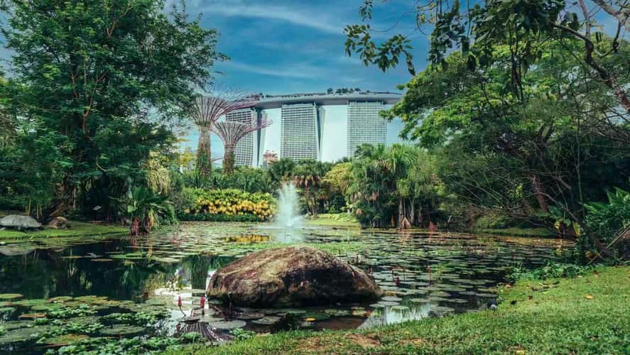 Marina Bay Sands (from Lily Pond)