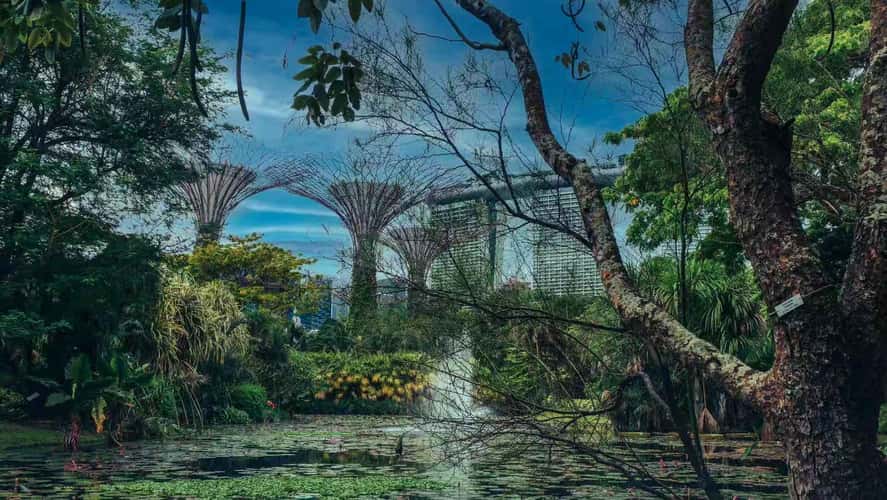Marina Bay Sands (from Lily Pond)