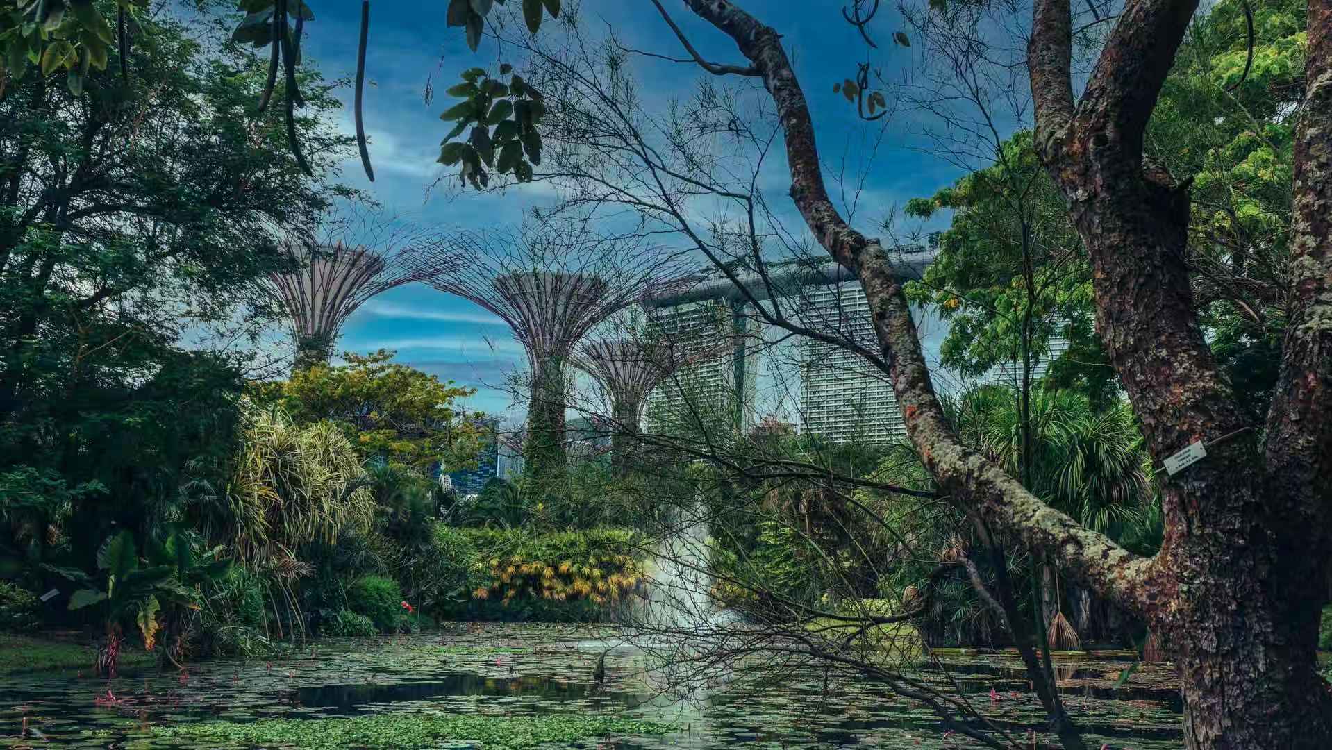 Marina Bay Sands (from Lily Pond), Singapore