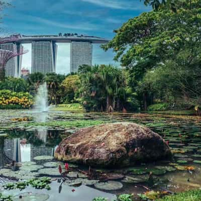 Marina Bay Sands (from Lily Pond), Singapore