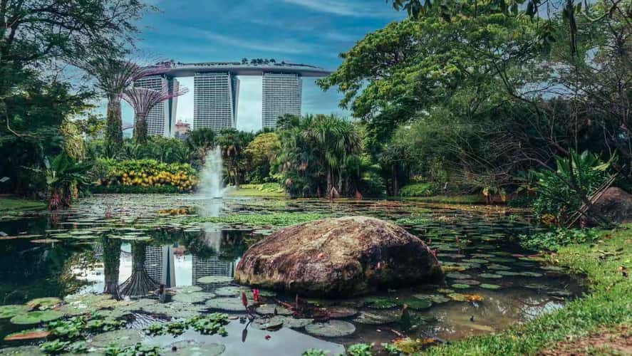 Marina Bay Sands (from Lily Pond)