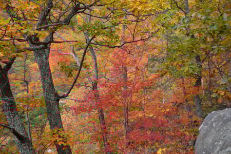 Whiteoak Falls