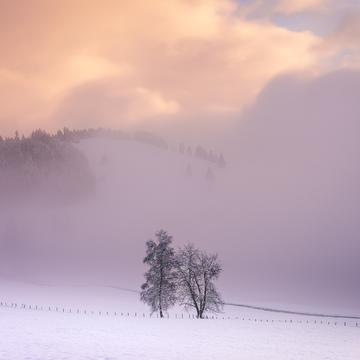 Winter landscape, Switzerland