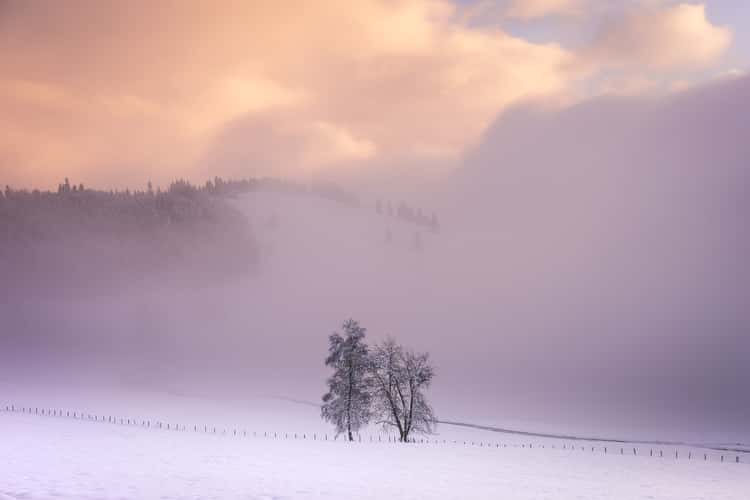 Winter landscape