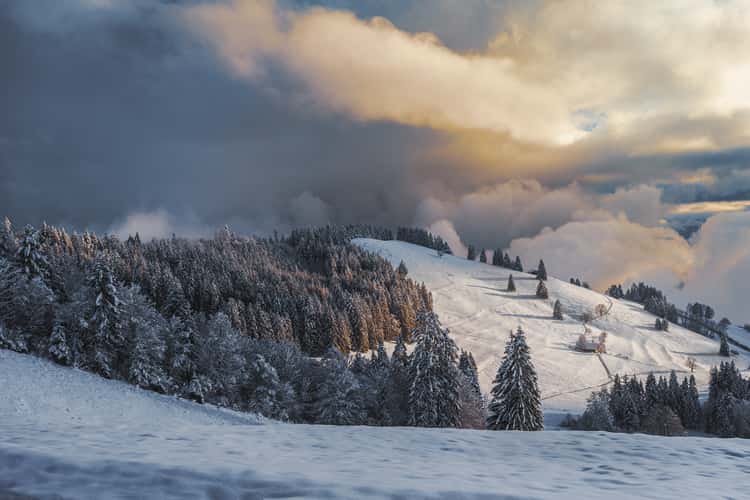 Winter landscape