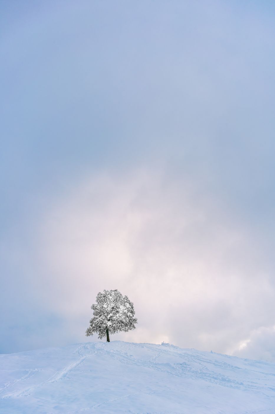 Winter landscape, Switzerland