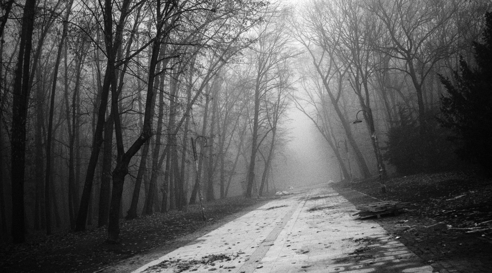 Zapaden Park, Bulgaria