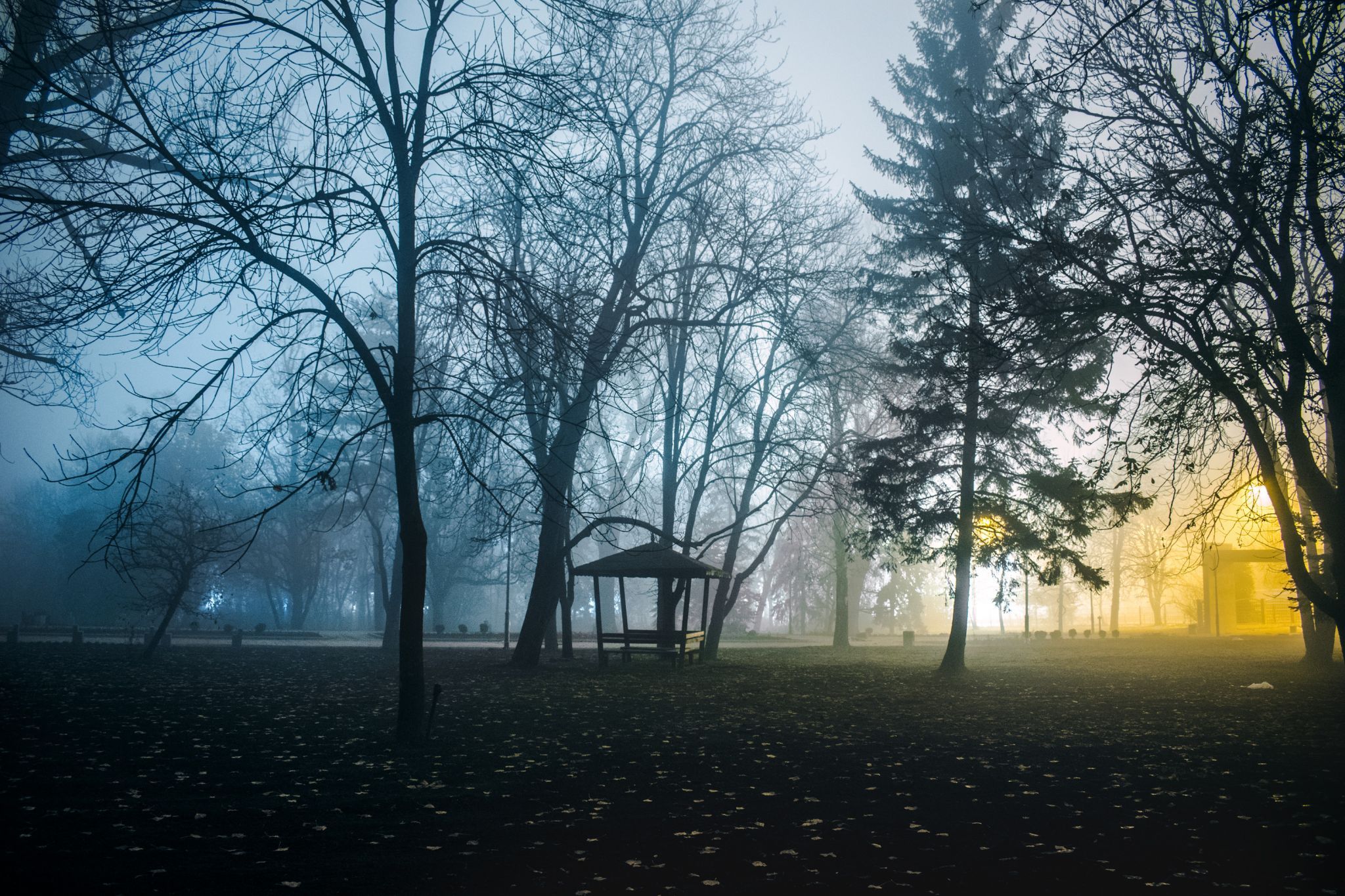 Zapaden Park, Bulgaria