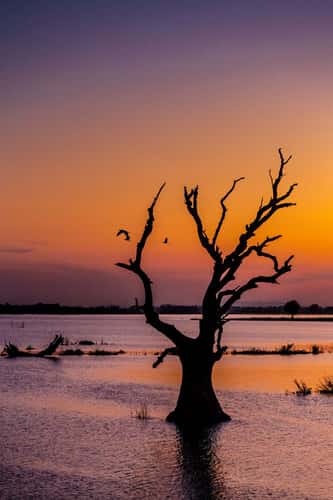Abend am Lake Taungthaman
