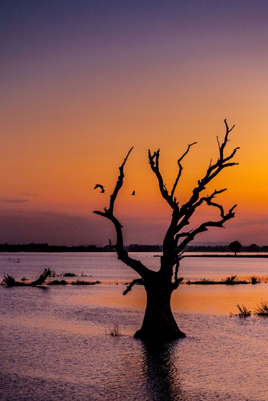 Abend am Lake Taungthaman, Myanmar