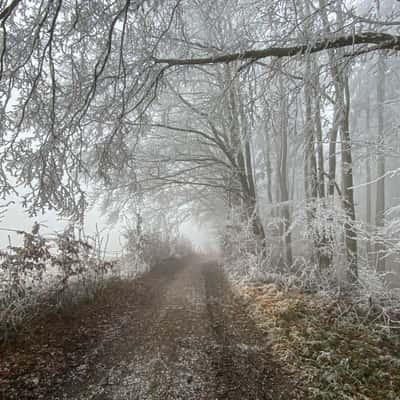 an the Way to Windloch, Austria