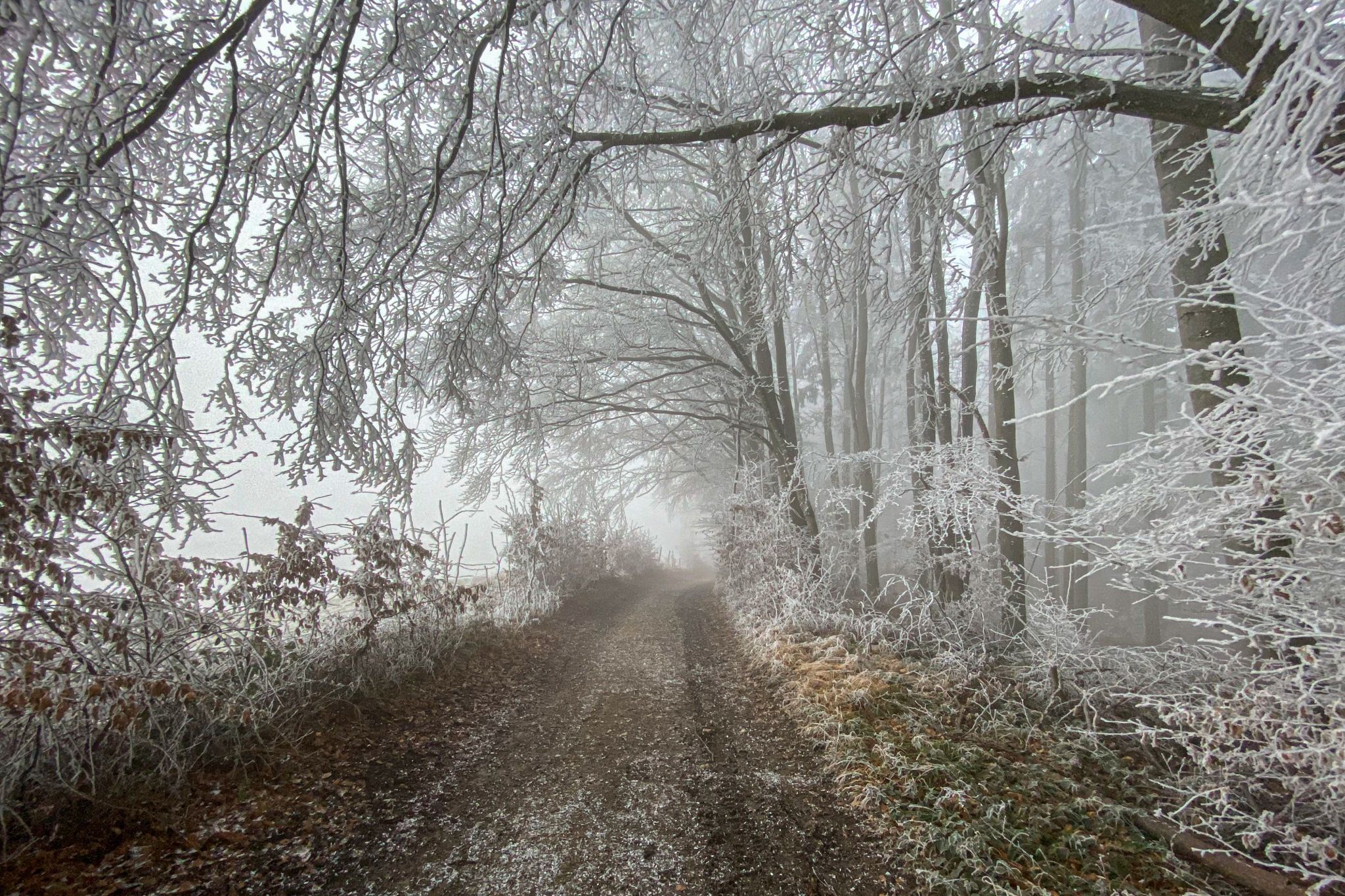 an the Way to Windloch, Austria