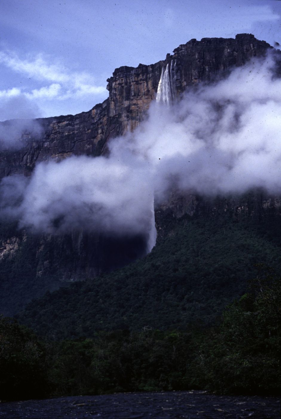 Angel Fall, Parque Nacional Canaima, Venezuela, Venezuela