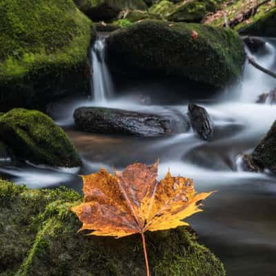 Bärenlochweg am Osterbach, Austria