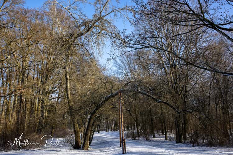 Bürgerpark Theresienstein in Hof
