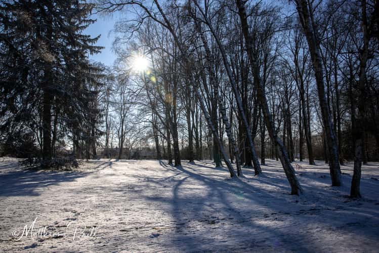 Bürgerpark Theresienstein in Hof