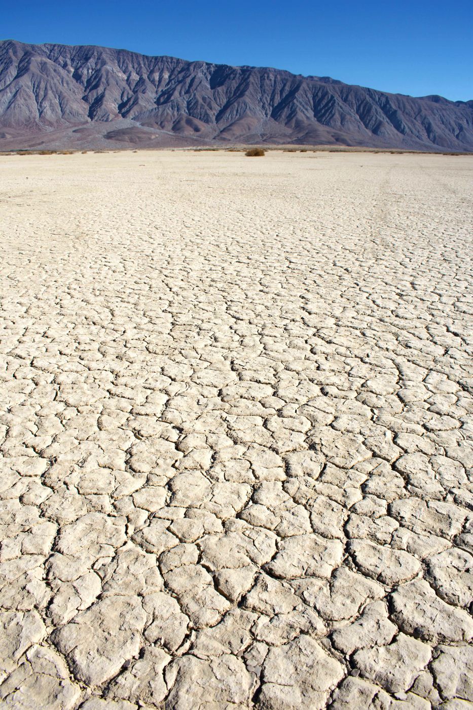 Clark's Dry Lake, USA
