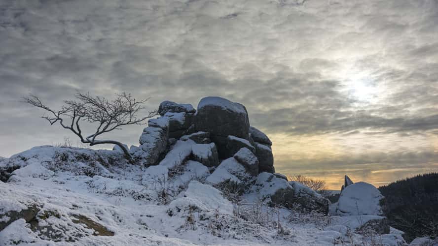 Down Tor