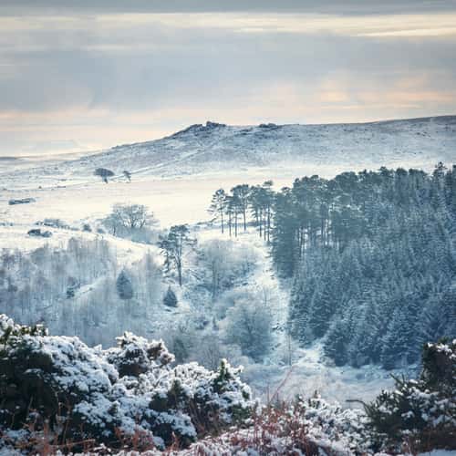 Down Tor