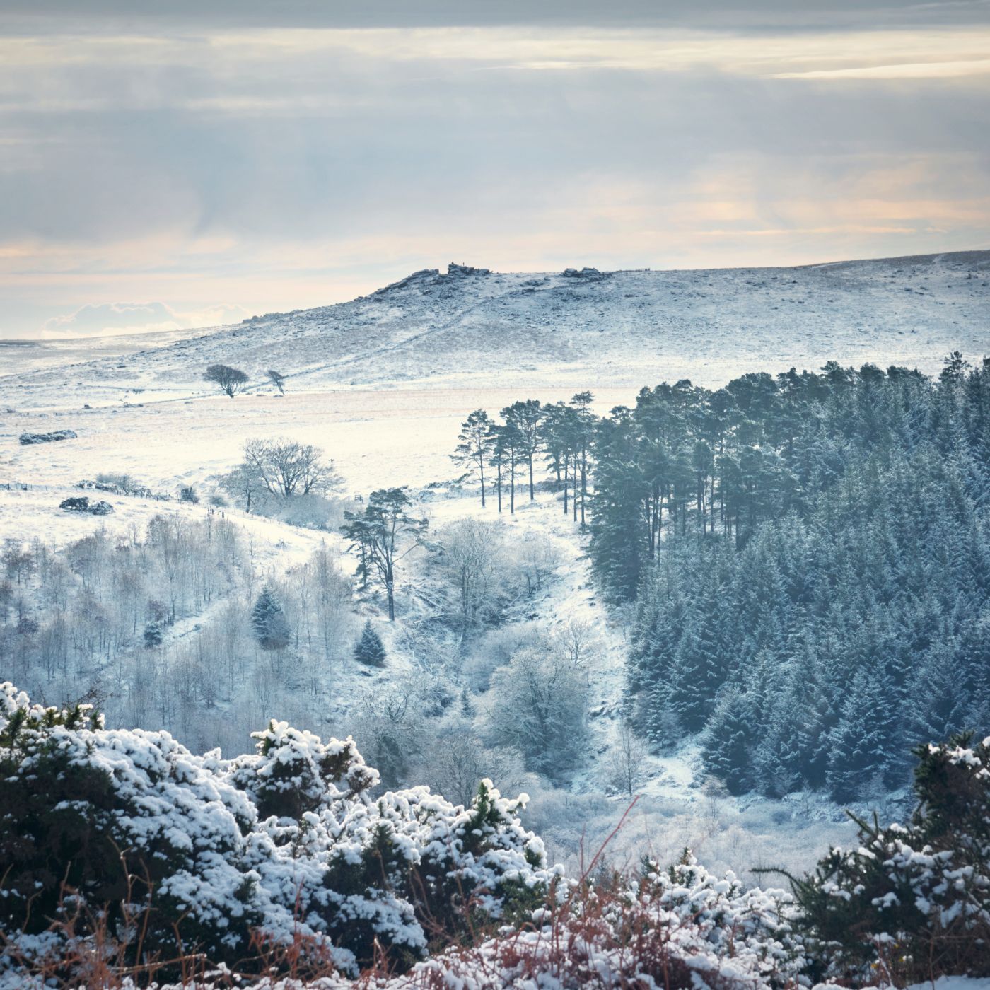 Down Tor, United Kingdom