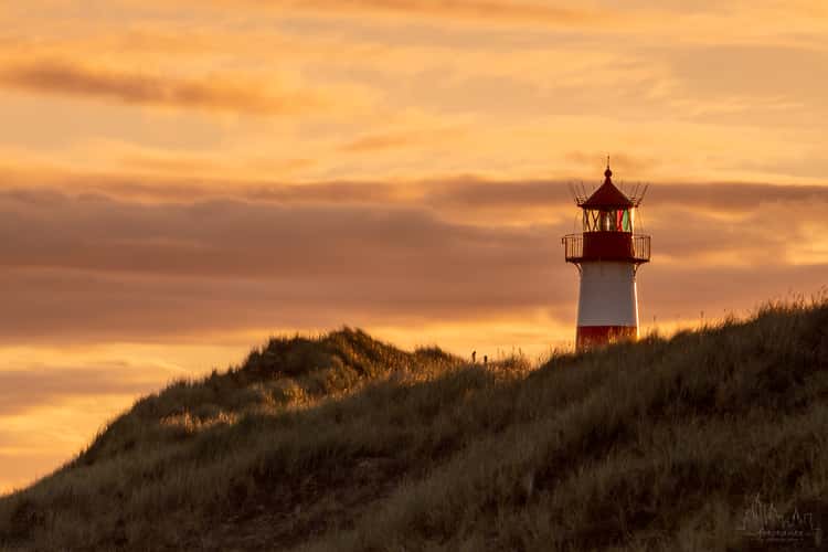 Ellenbogen, Sylt