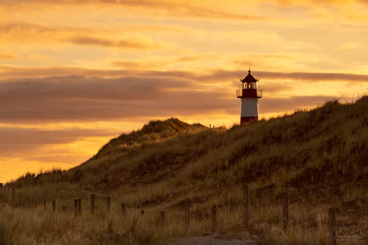 Ellenbogen, Sylt