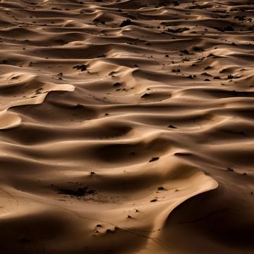 Erg Chebbi Desert, Morocco