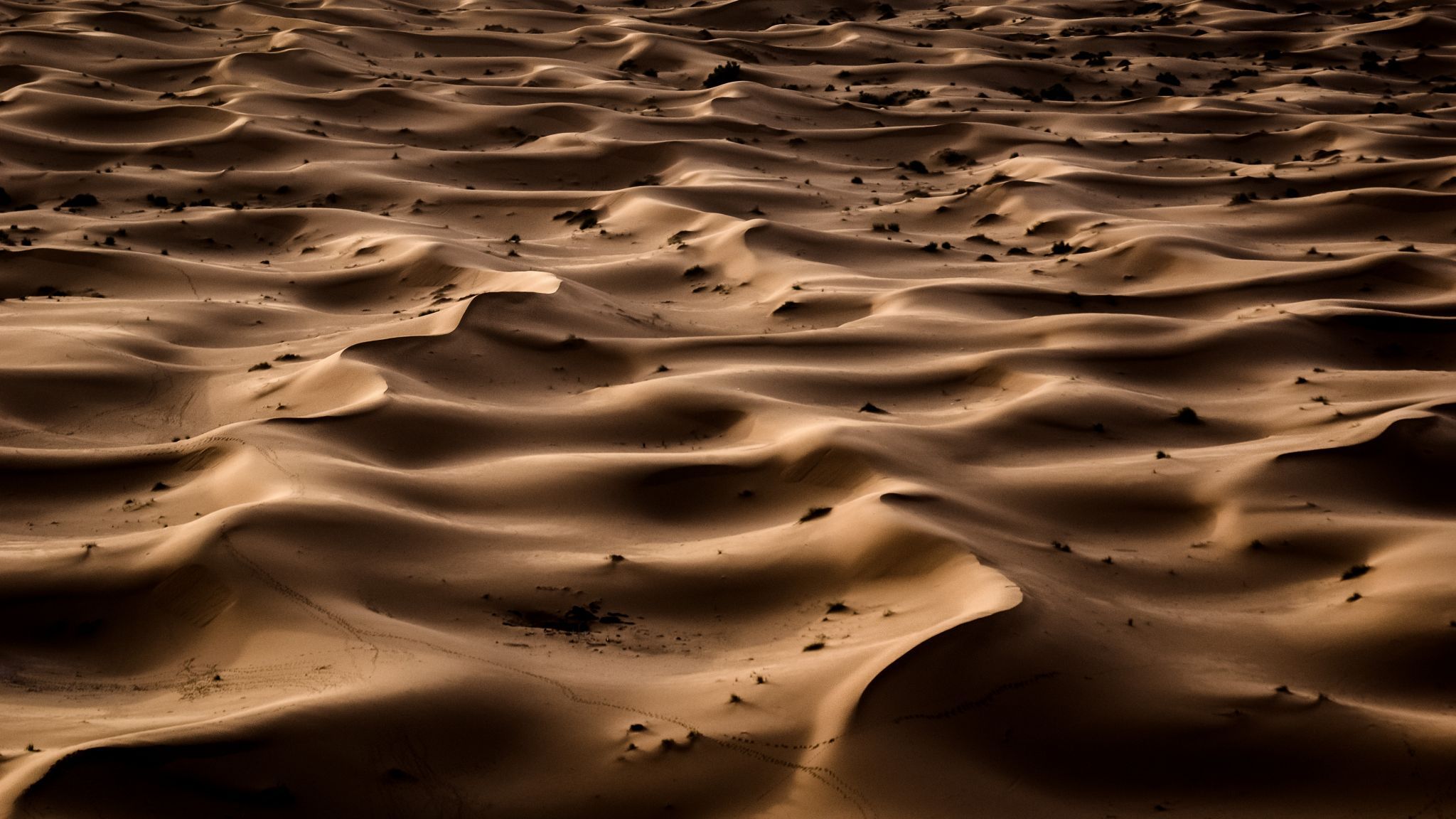 Erg Chebbi Desert, Morocco