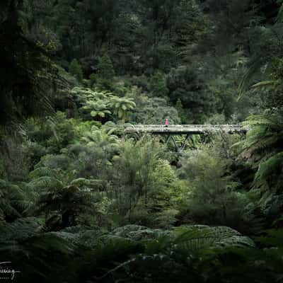 Forgotten World Highway Bridge, New Zealand