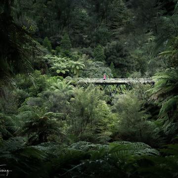 Forgotten World Highway Bridge, New Zealand
