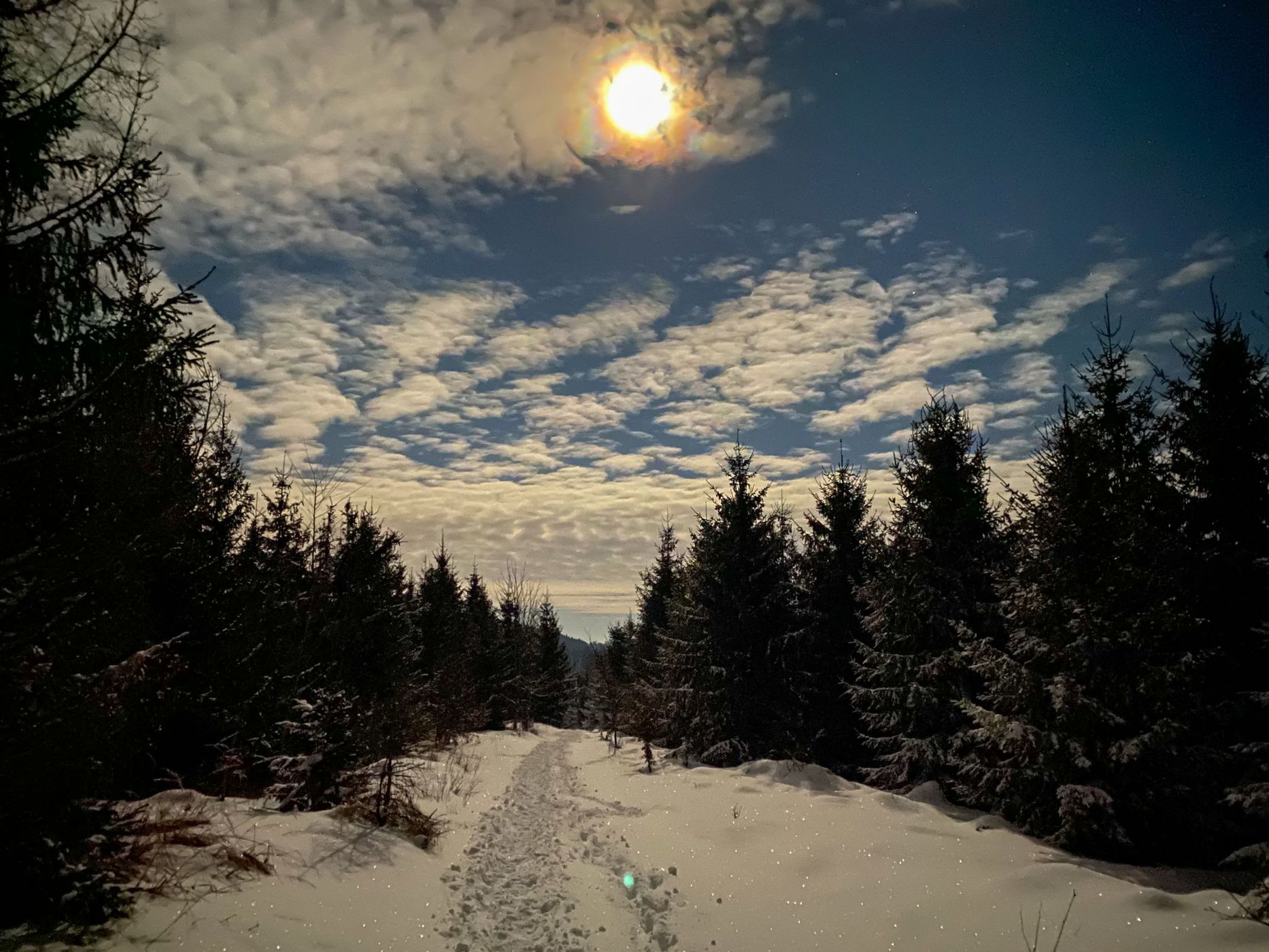 From Windloch back to Damberg, Austria