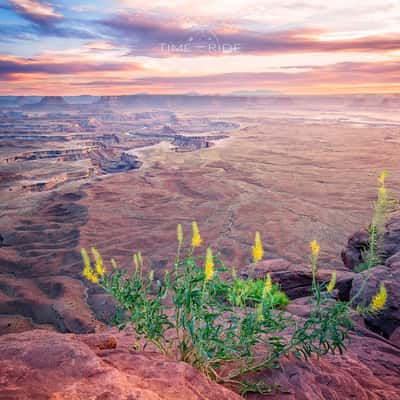 Green River Overlook, Utah, USA