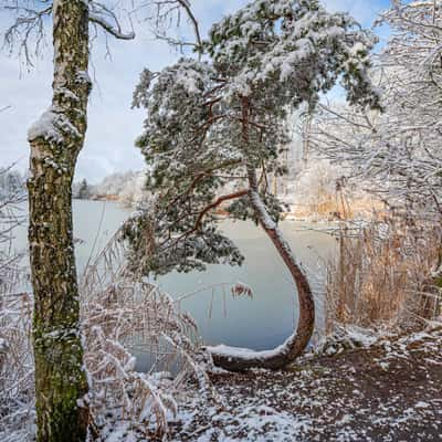 Heiligenbergsee bei Häfnerhaslach, Germany