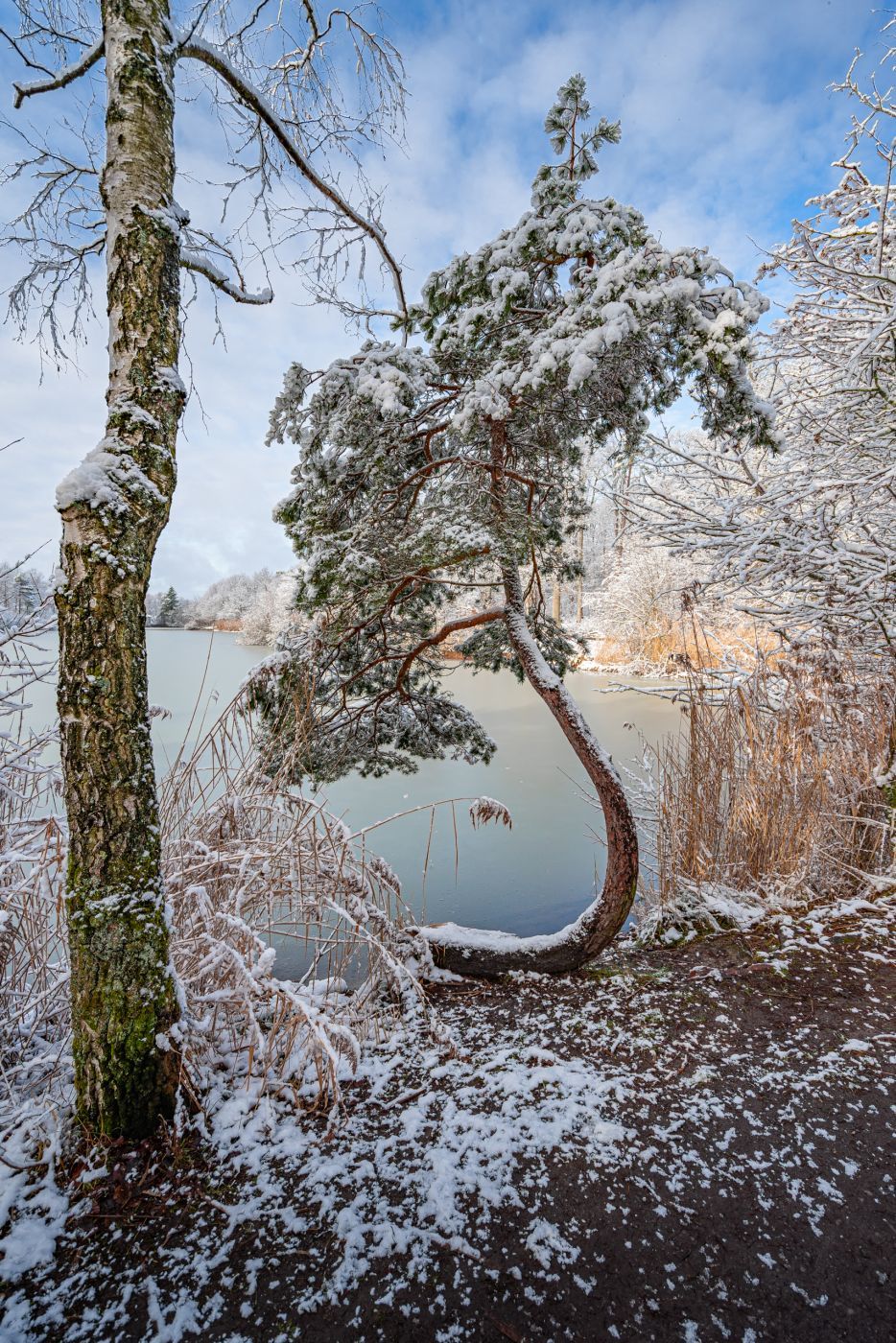 Heiligenbergsee bei Häfnerhaslach, Germany