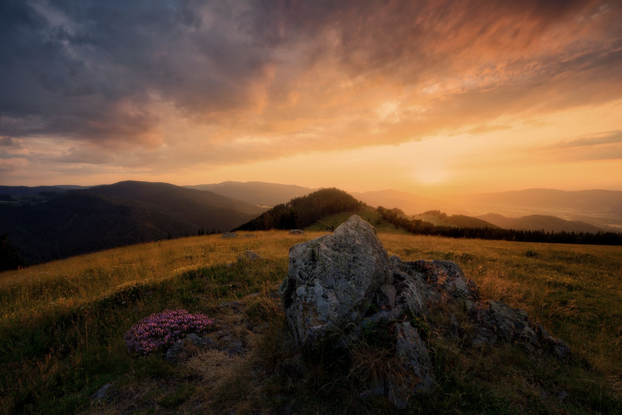 Hinterwaldkopf, Black Forest, Germany