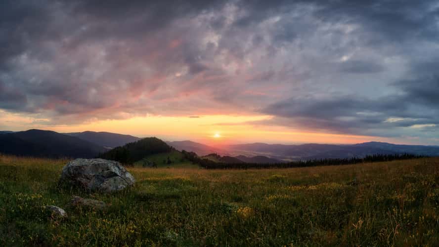 Hinterwaldkopf, Black Forest