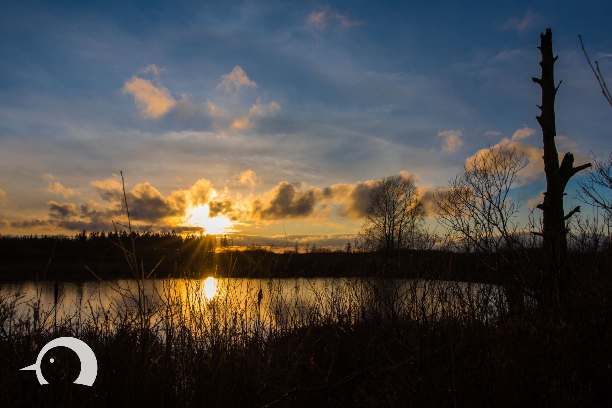 Hohes Venn, Belgium