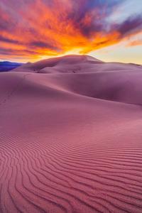 Ibex Sand Dunes