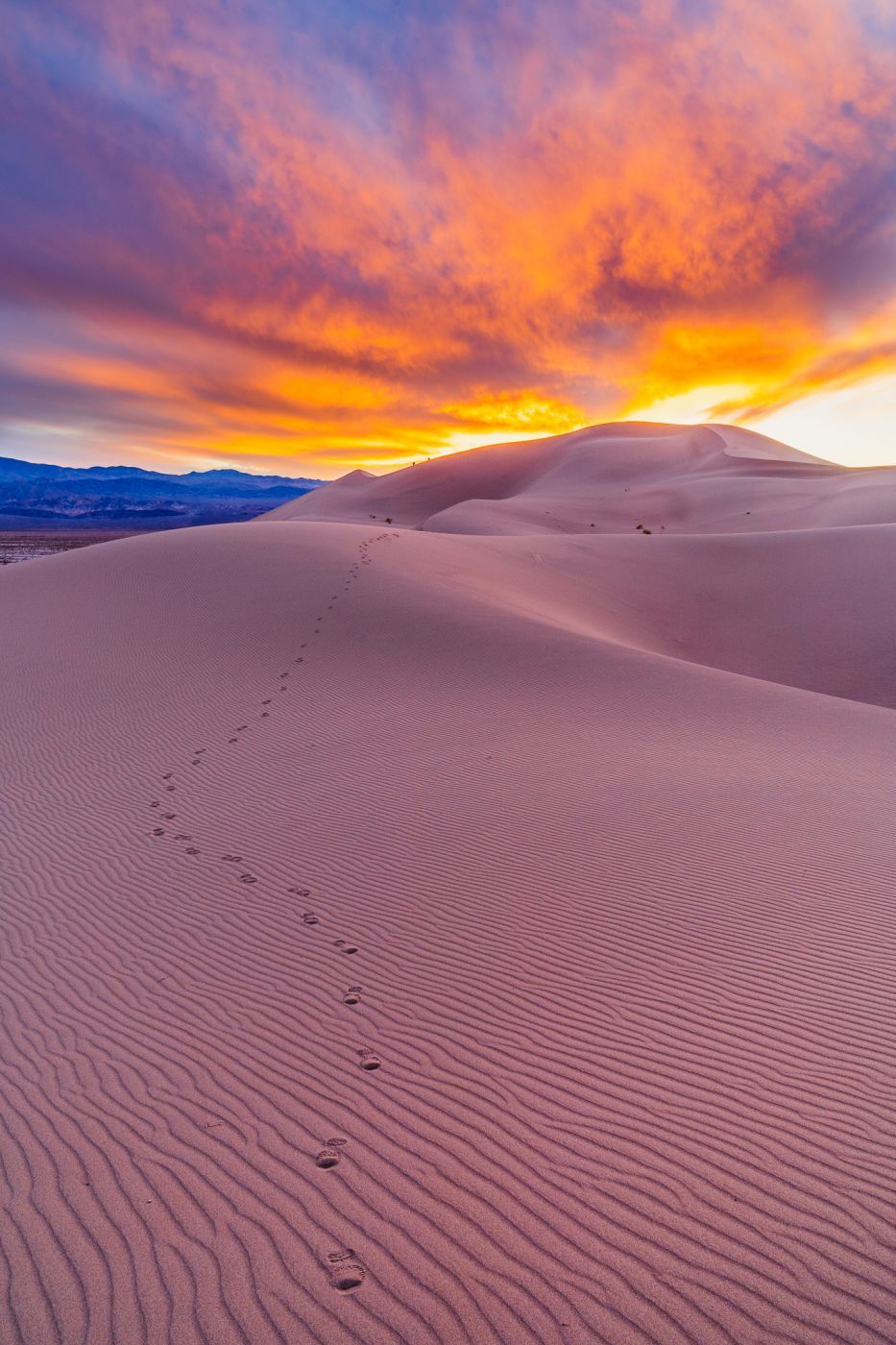 Ibex Sand Dunes, USA