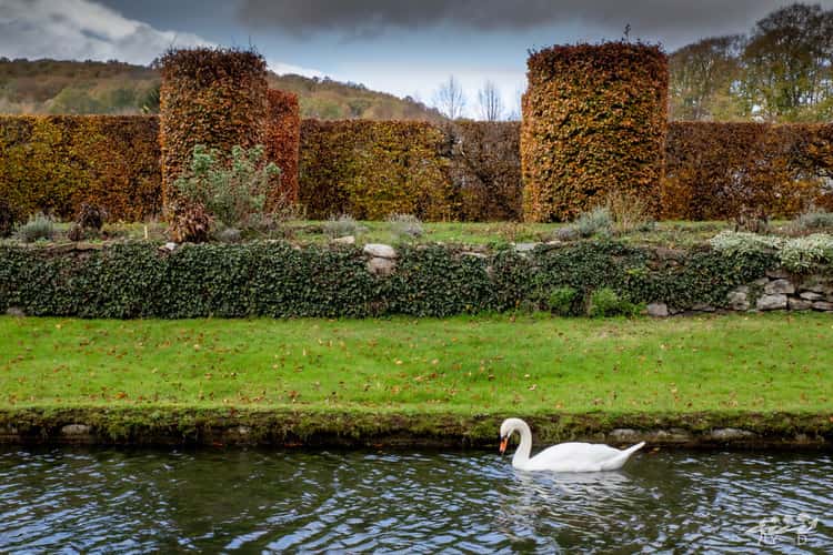 Jardins d'Annevoie