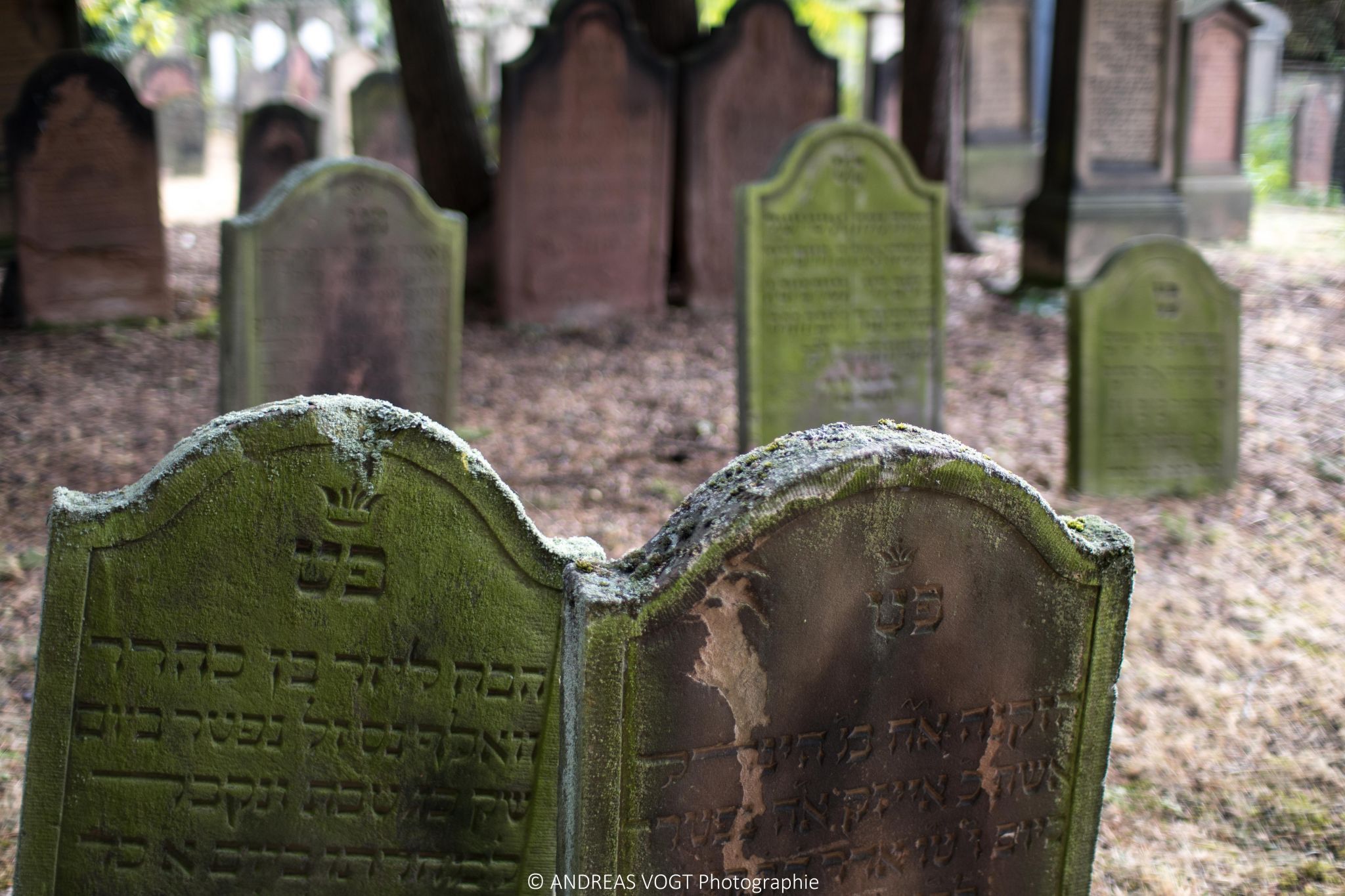 Jüdischer Friedhof, Worms, Germany