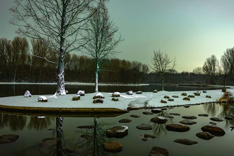 Lage Bergse Bos