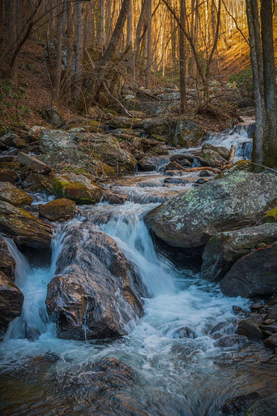 Lower portion of Anna Ruby Falls, USA