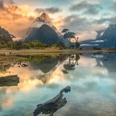 Milford Sound/Piopiotahi, New Zealand