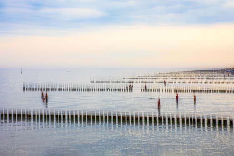 Morning on the Baltic Sea coast near Zingst