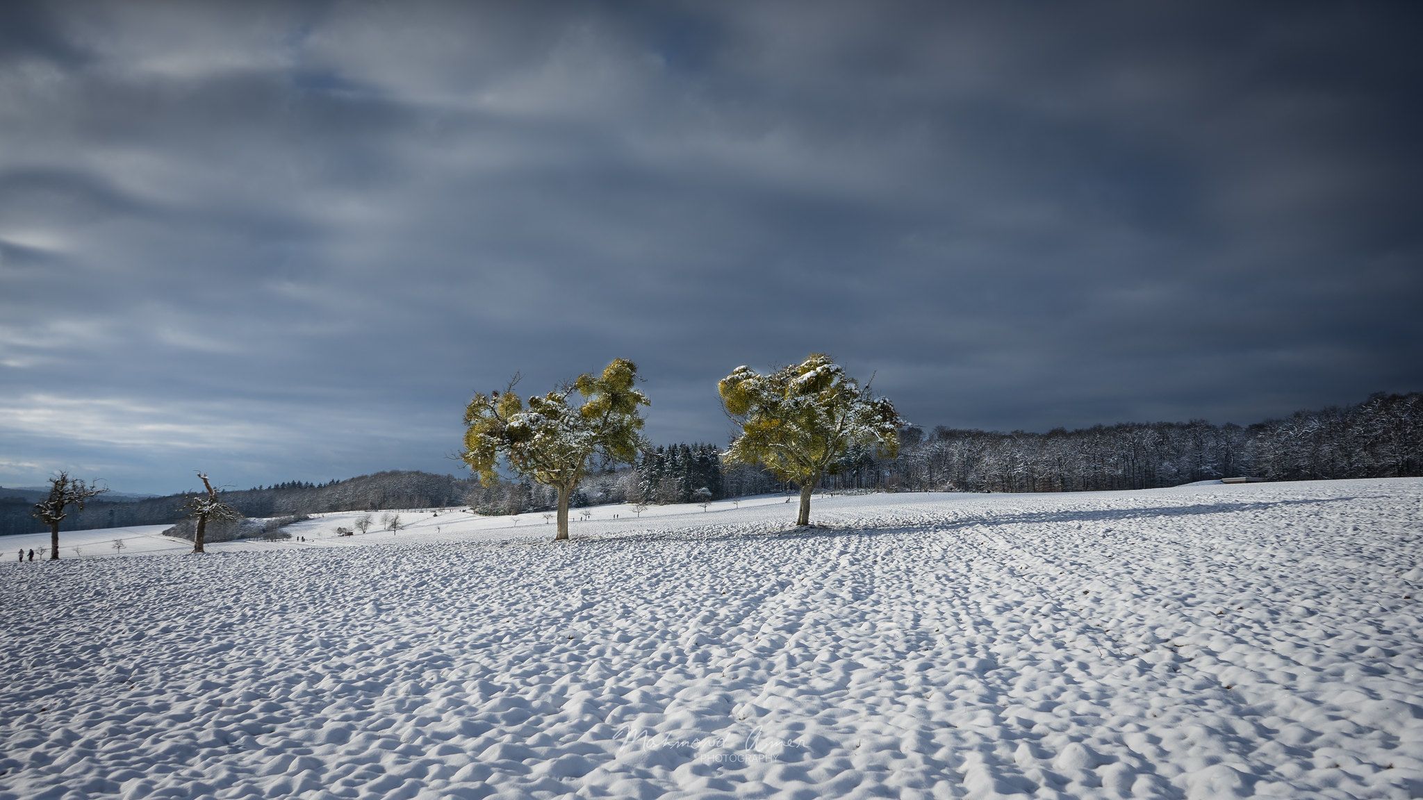 Nieder-Oberrad, Germany