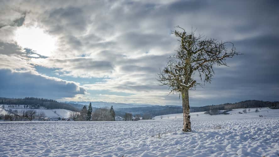 Nieder-Oberrad