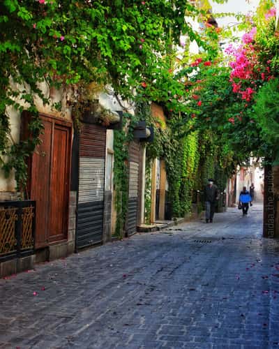 Old Damascus