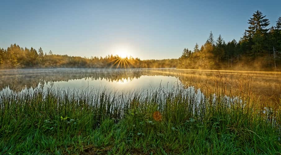 Pond at Saignelégier
